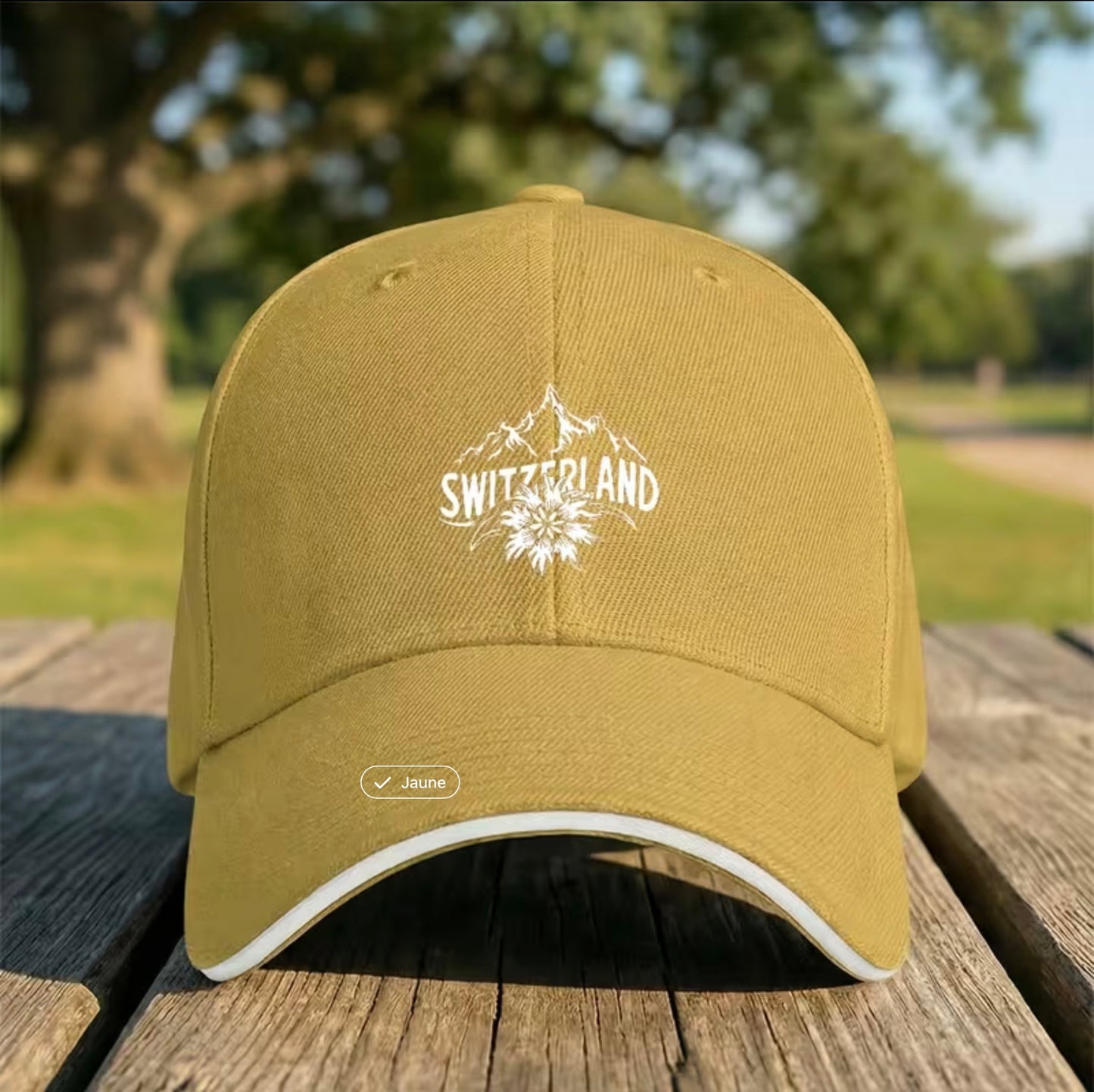 Baseball cap with Swiss Alps