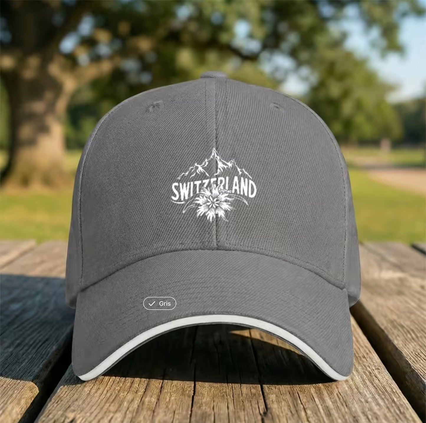 Baseball cap with Swiss Alps